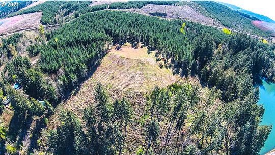 30.8 Acres of Land for Sale in Lowell, Oregon