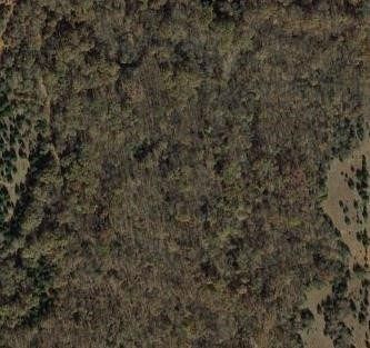 40 Acres of Land for Sale in Coyle, Oklahoma