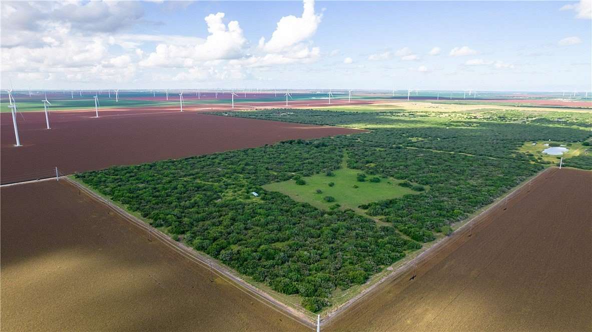 76.7 Acres of Recreational Land & Farm for Sale in Bishop, Texas