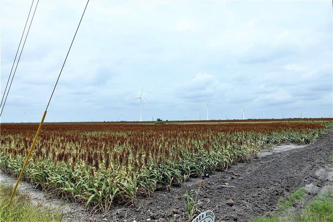 180 Acres of Land for Sale in Taft, Texas