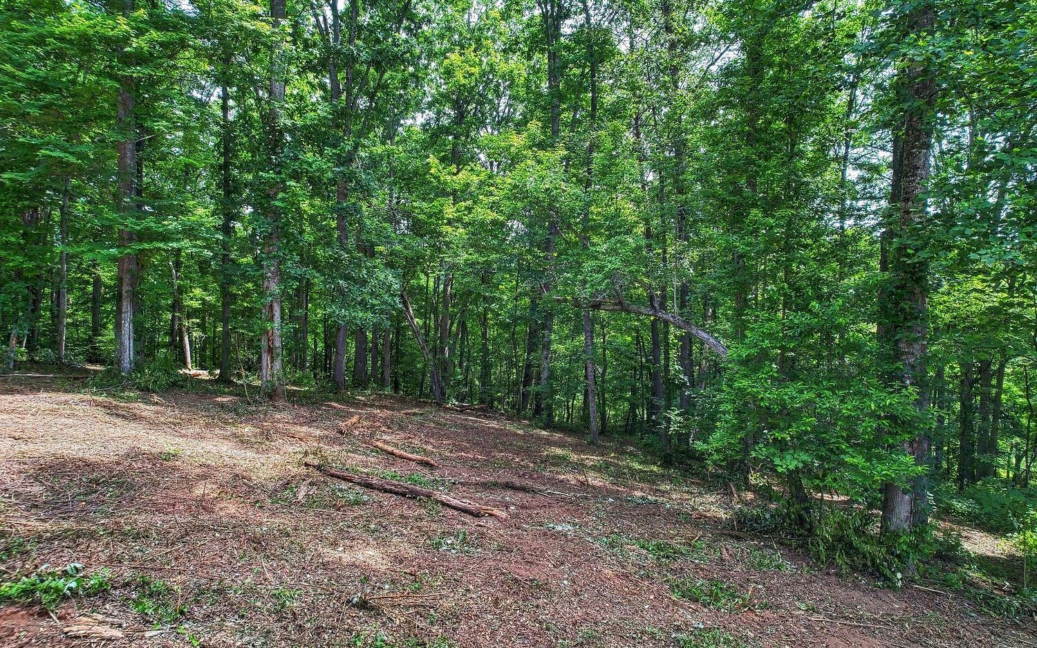 0.89 Acres of Residential Land for Sale in Young Harris, Georgia