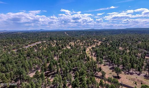 22.5 Acres of Agricultural Land for Sale in Show Low, Arizona