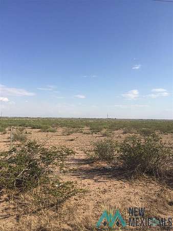 80.5 Acres of Land for Sale in Lake Arthur, New Mexico