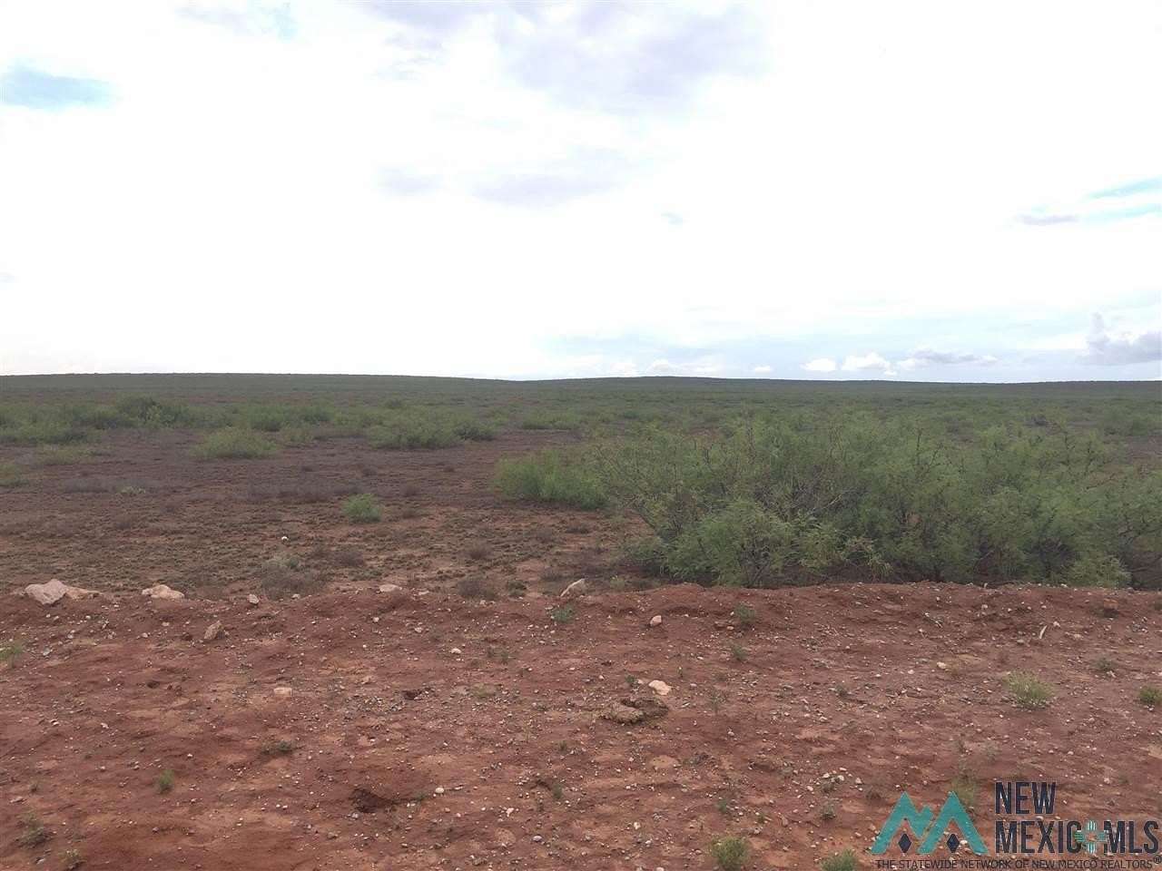 318 Acres of Land for Sale in Roswell, New Mexico