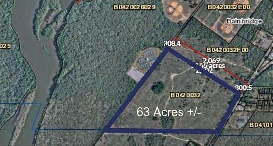 73 Acres of Agricultural Land for Sale in Bainbridge, Georgia