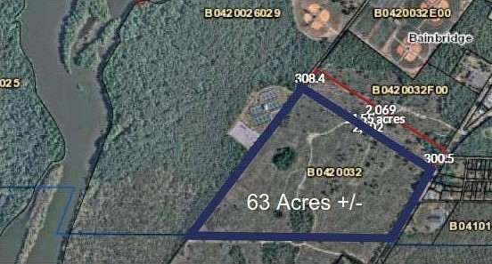 73 Acres of Agricultural Land for Sale in Bainbridge, Georgia