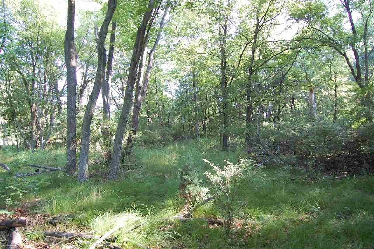 0.23 Acres of Residential Land for Sale in Montello, Wisconsin