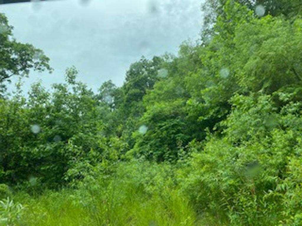 1 Acre of Residential Land for Sale in Pikeville, Kentucky