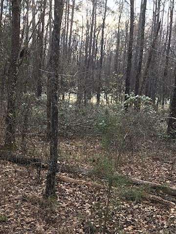 13.4 Acres of Land for Sale in Jackson, South Carolina