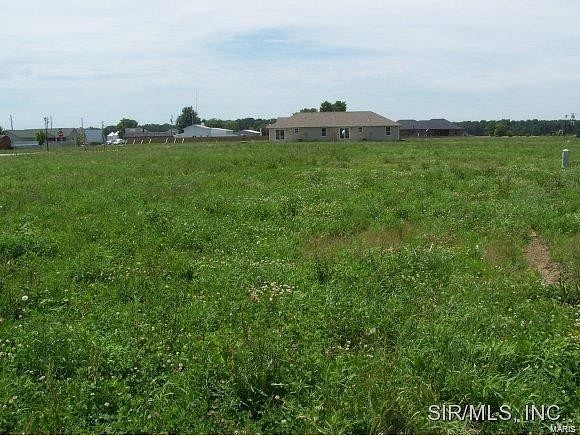 0.23 Acres of Residential Land for Sale in St. Libory, Illinois