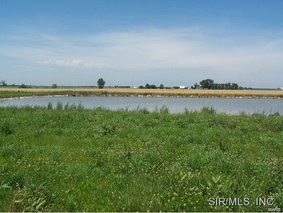 0.42 Acres of Residential Land for Sale in St. Libory, Illinois