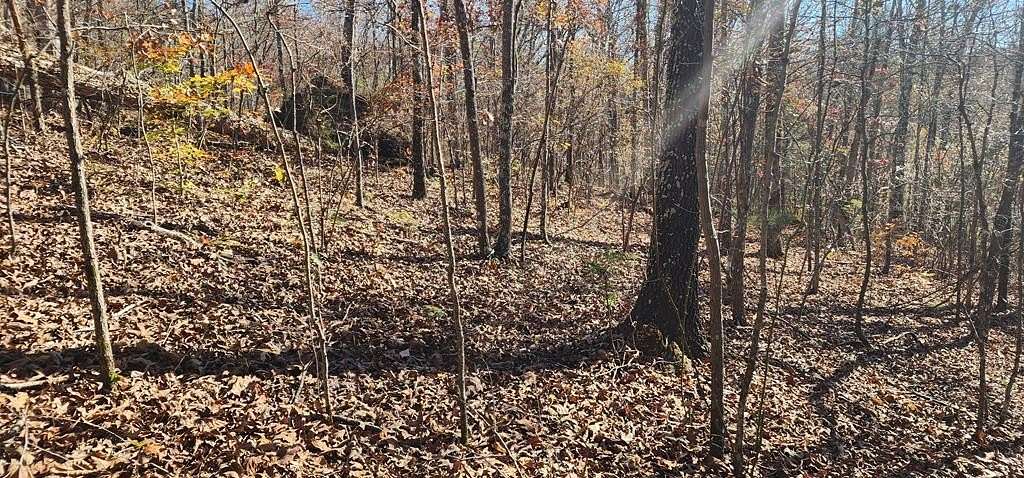 0.367 Acres of Residential Land for Sale in Holladay, Tennessee