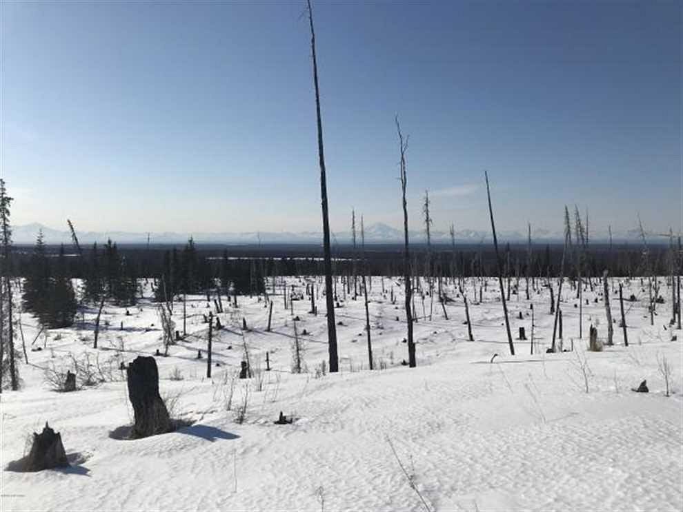 4.9 Acres of Recreational Land for Sale in Ninilchik, Alaska