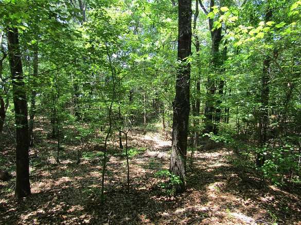 30 Acres of Recreational Land for Sale in Hugo, Oklahoma