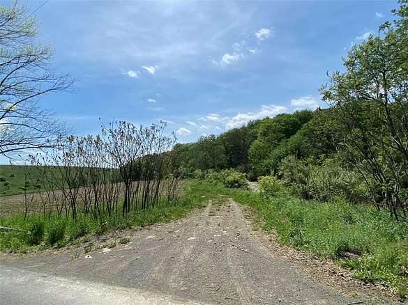65.8 Acres of Recreational Land for Sale in Port Crane, New York