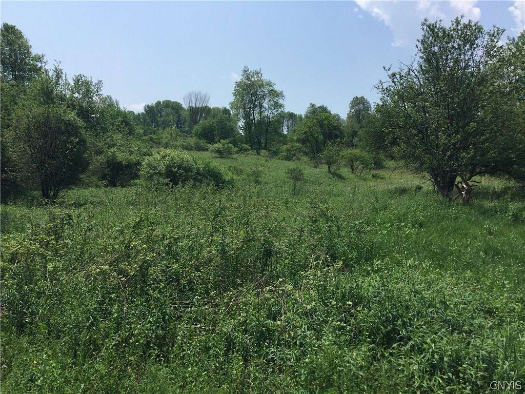 4.7 Acres of Land for Sale in Deerfield, New York