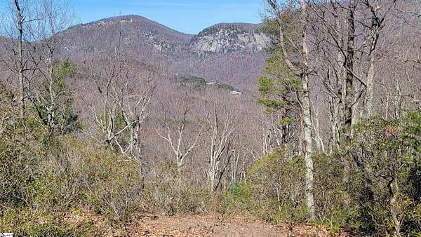 1 Acre of Residential Land for Sale in Landrum, South Carolina