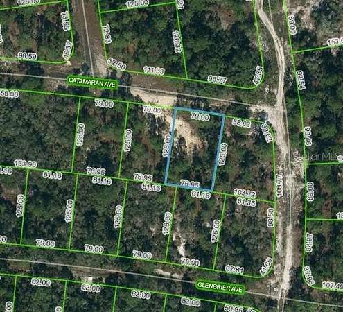 0.22 Acres of Residential Land for Sale in Lake Placid, Florida