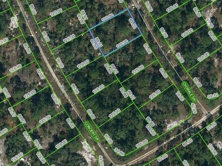 0.25 Acres of Residential Land for Sale in Lake Placid, Florida