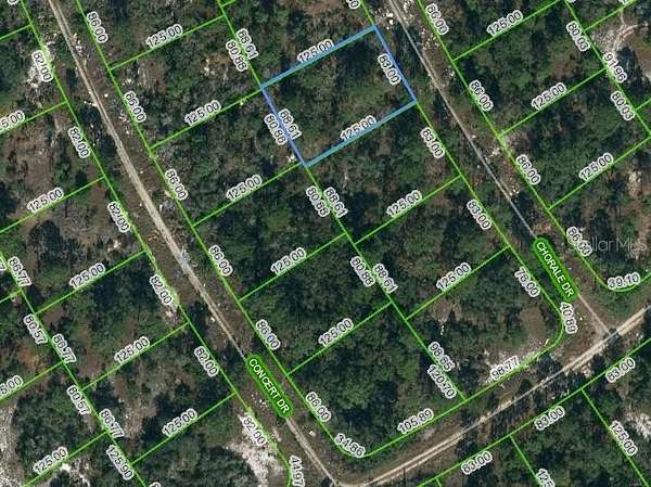 0.25 Acres of Residential Land for Sale in Lake Placid, Florida