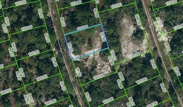 0.24 Acres of Residential Land for Sale in Lake Placid, Florida