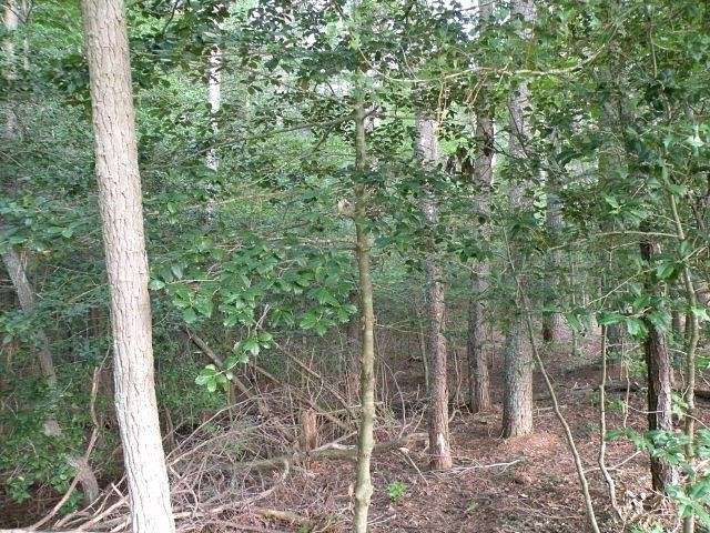 2 Acres of Residential Land for Sale in Belle Haven, Virginia