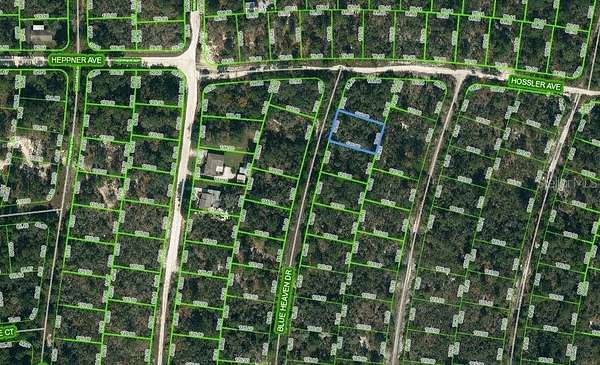 0.23 Acres of Residential Land for Sale in Lake Placid, Florida