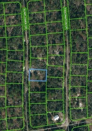 0.24 Acres of Residential Land for Sale in Lake Placid, Florida