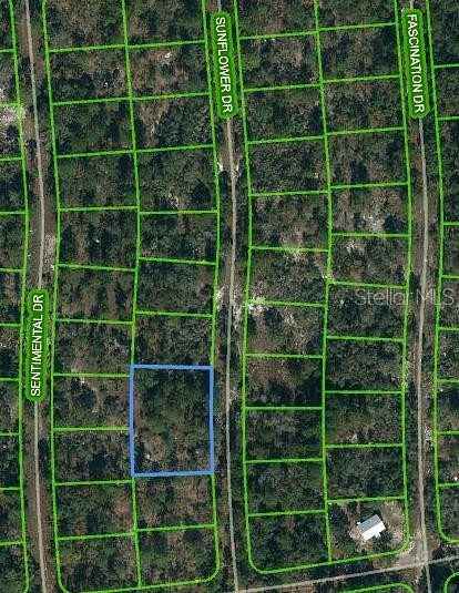 0.48 Acres of Residential Land for Sale in Lake Placid, Florida