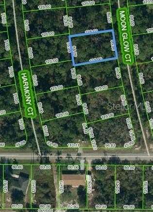 0.24 Acres of Residential Land for Sale in Lake Placid, Florida