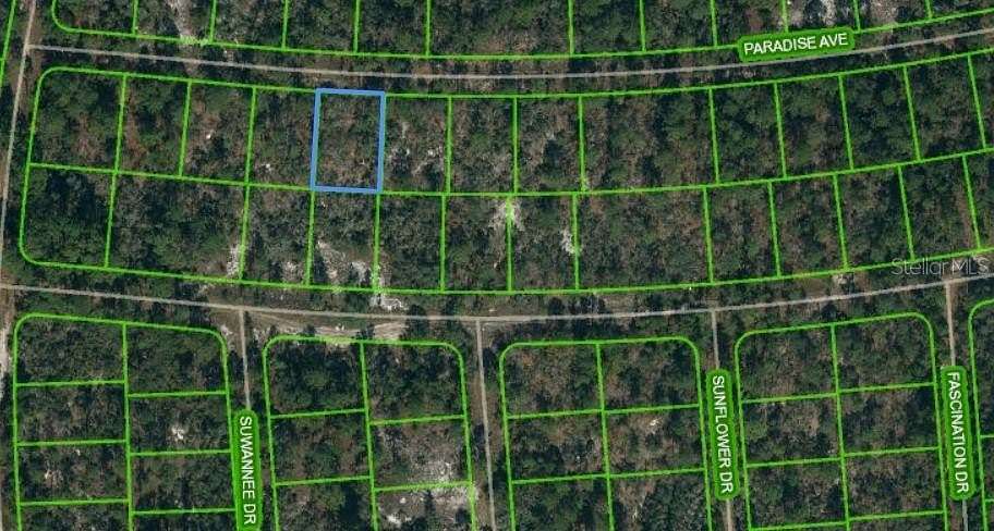 0.24 Acres of Residential Land for Sale in Lake Placid, Florida