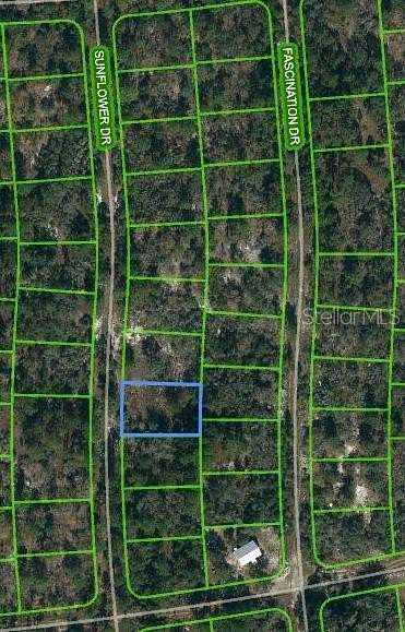 0.24 Acres of Residential Land for Sale in Lake Placid, Florida