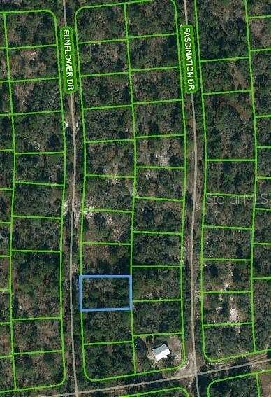 0.24 Acres of Residential Land for Sale in Lake Placid, Florida