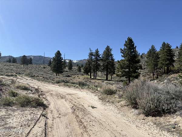 275 Acres of Recreational Land for Sale in Carson City, Nevada