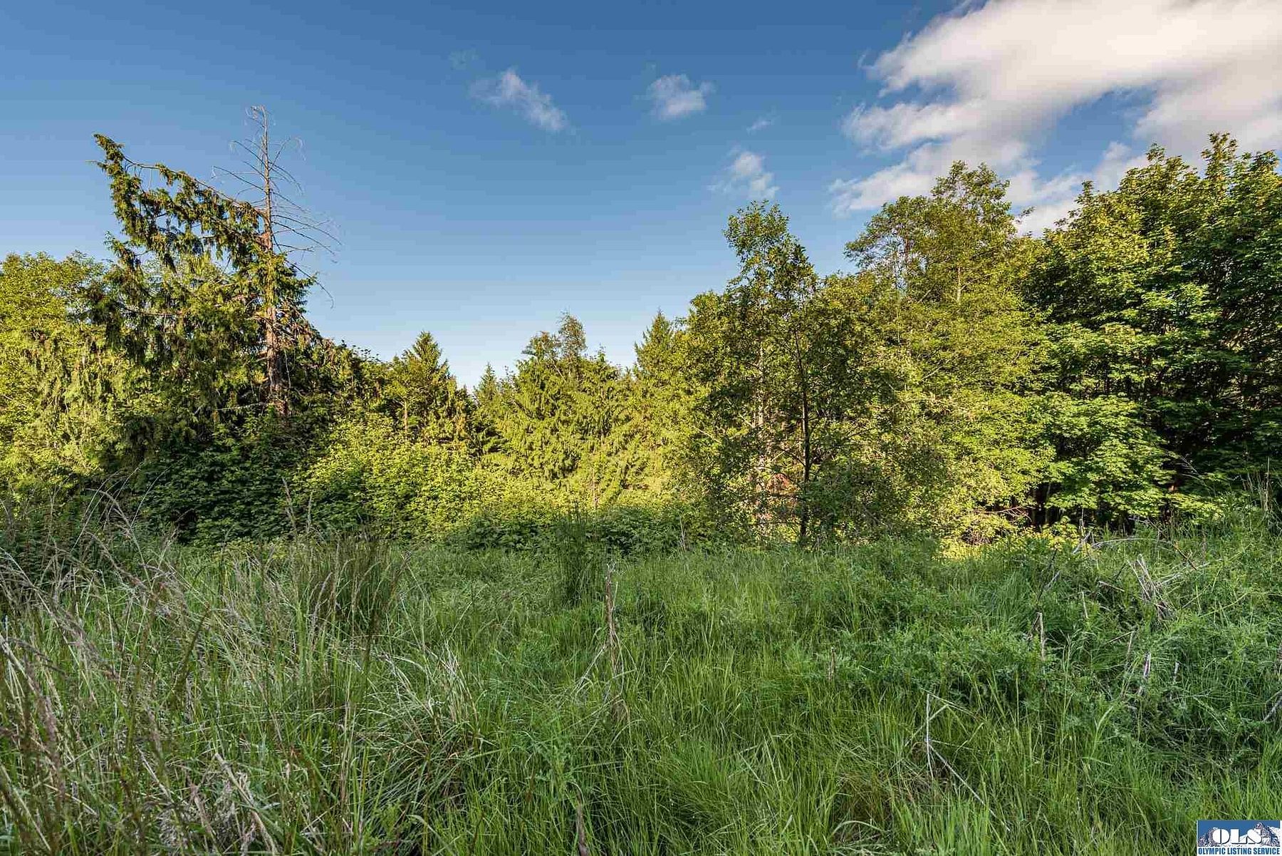 9.9 Acres of Land for Sale in Sequim, Washington