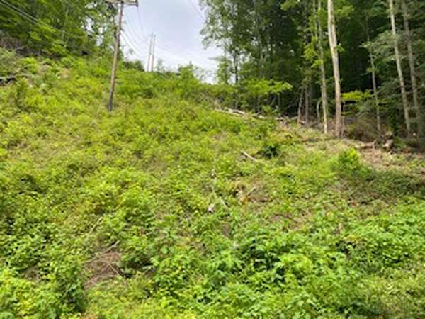 0.35 Acres of Residential Land for Sale in Pikeville, Kentucky