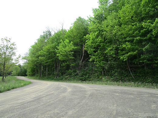 24.2 Acres of Recreational Land for Sale in Middlefield, New York