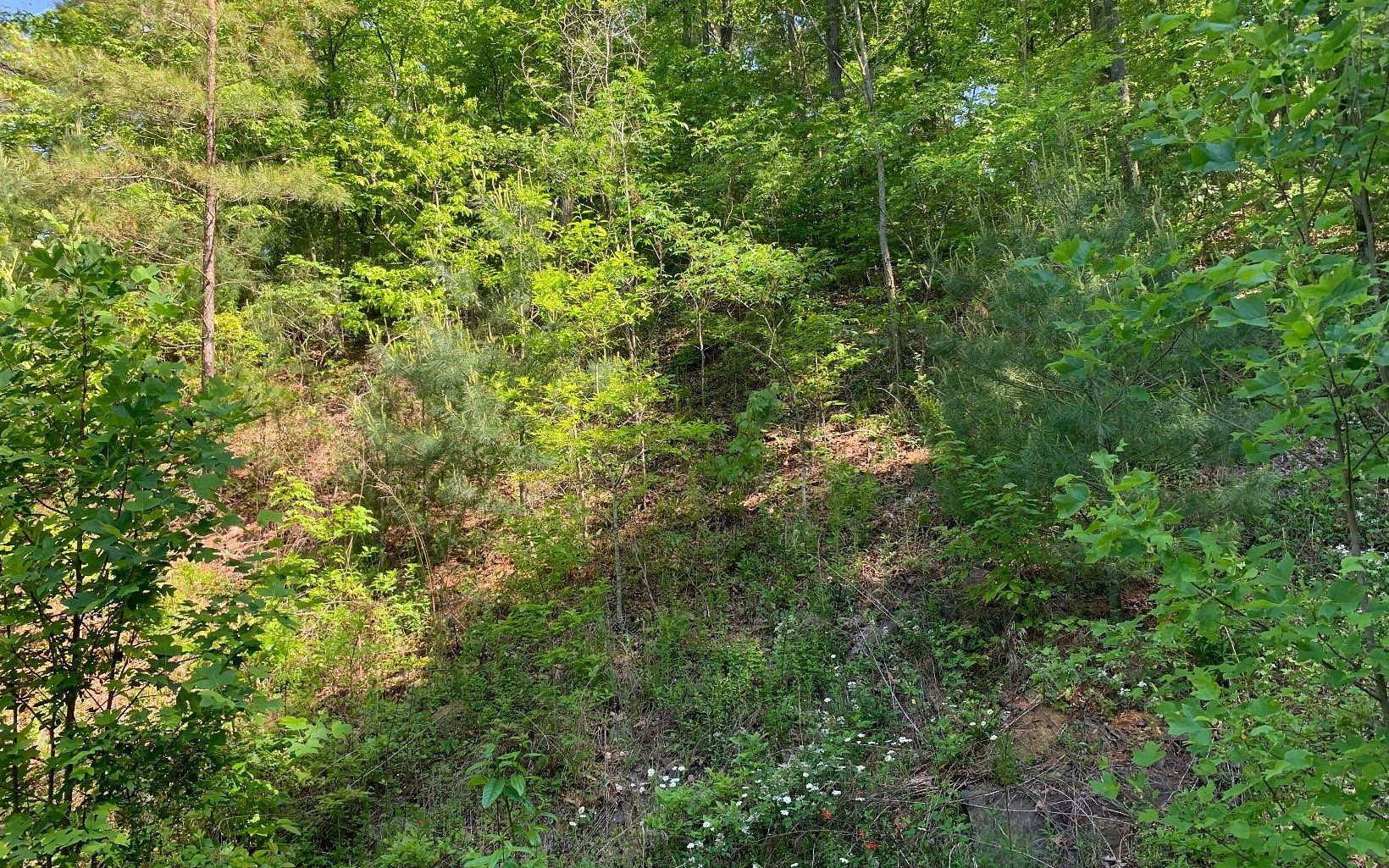 0.88 Acres of Residential Land for Sale in Hayesville, North Carolina