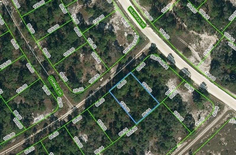 0.24 Acres of Residential Land for Sale in Lake Placid, Florida