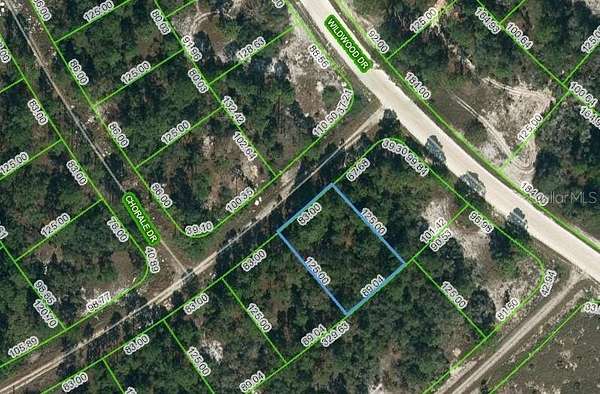 0.24 Acres of Residential Land for Sale in Lake Placid, Florida