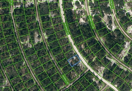 0.26 Acres of Residential Land for Sale in Lake Placid, Florida