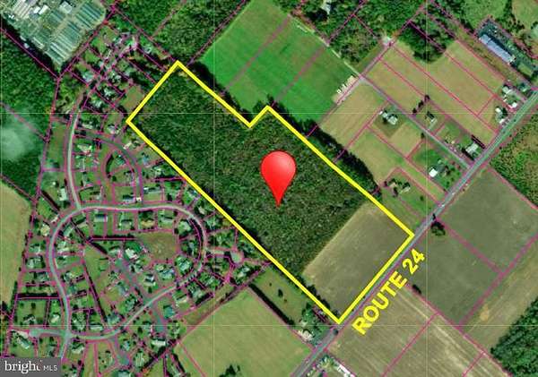 36 Acres of Recreational Land & Farm for Sale in Millsboro, Delaware