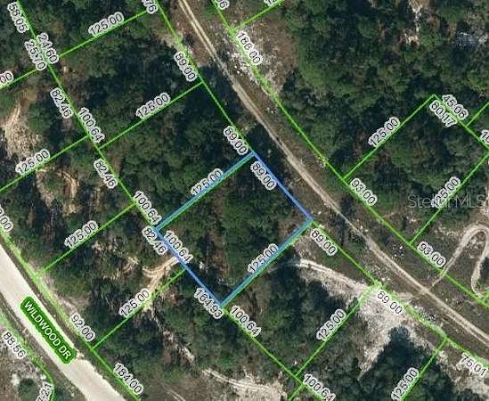 0.27 Acres of Residential Land for Sale in Lake Placid, Florida