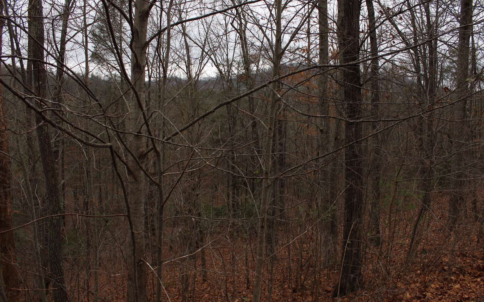 2.34 Acres of Land for Sale in Hayesville, North Carolina