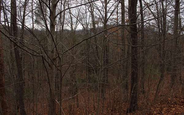 2.34 Acres of Land for Sale in Hayesville, North Carolina