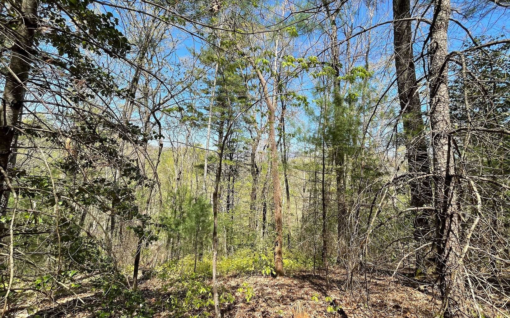 1.9 Acres of Residential Land for Sale in Hiawassee, Georgia