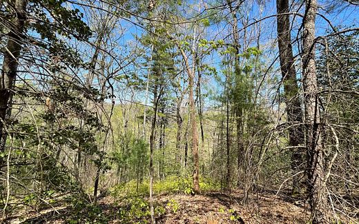 1.9 Acres of Residential Land for Sale in Hiawassee, Georgia