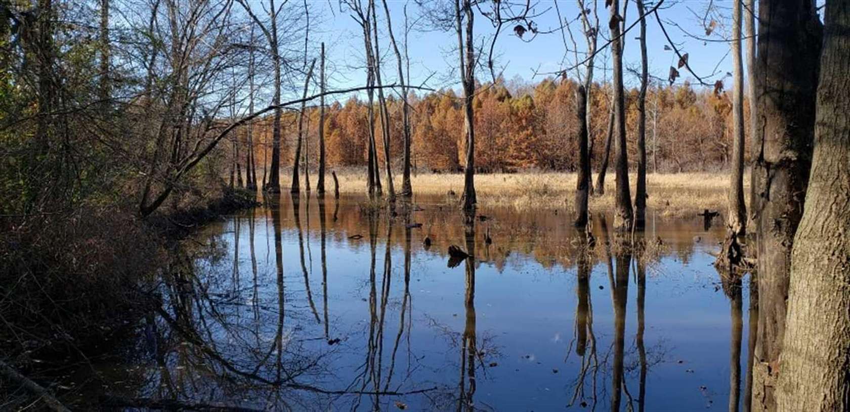 256 Acres of Recreational Land & Farm for Sale in Shiloh, Tennessee