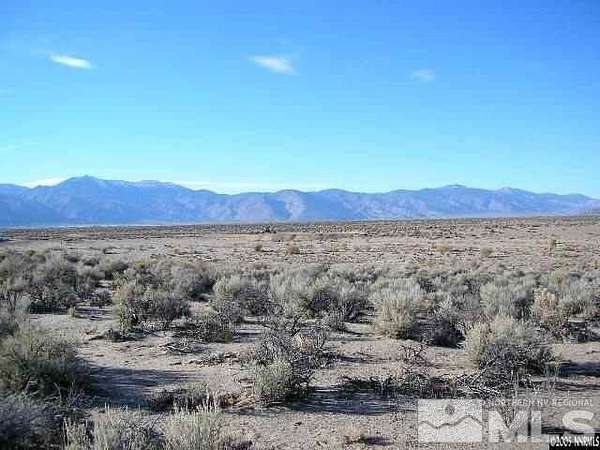 5 Acres of Residential Land for Sale in Smith, Nevada