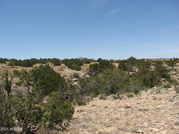 36.5 Acres of Land for Sale in Heber, Arizona